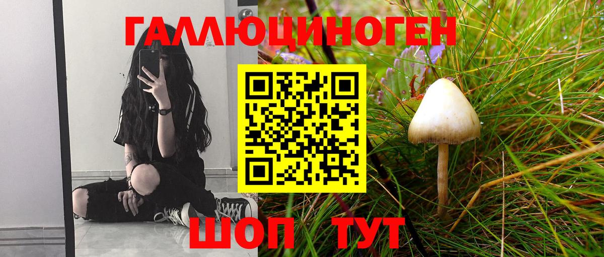 купить   Псилоцибиновые грибы Psilocybe  Вход с VPN  Набережные Челны 